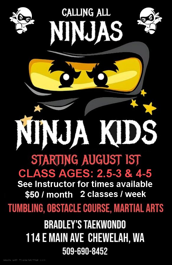 Ninja kid poster (1)